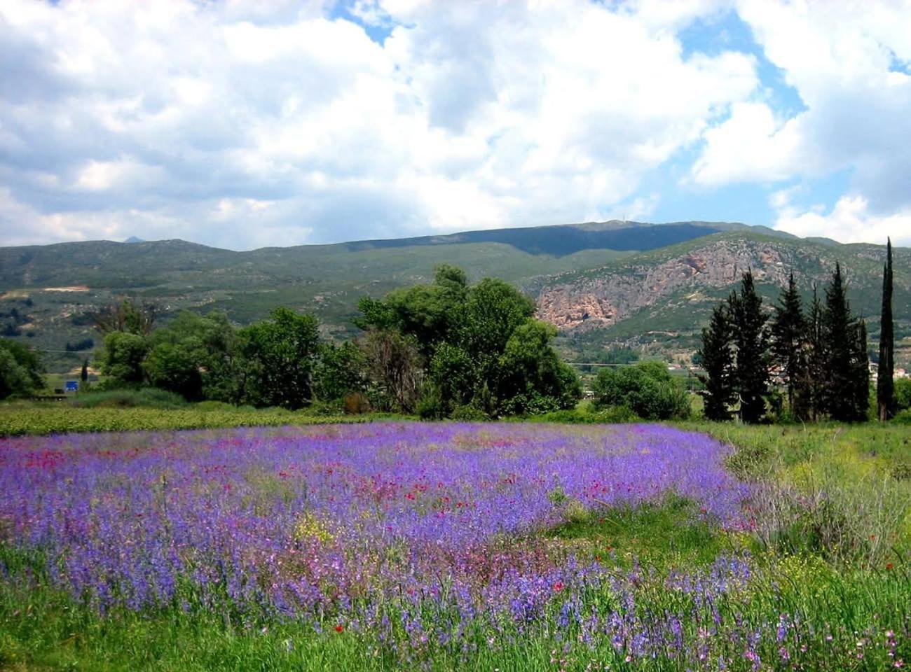 La Petite Planete Otel Mykines Dış mekan fotoğraf