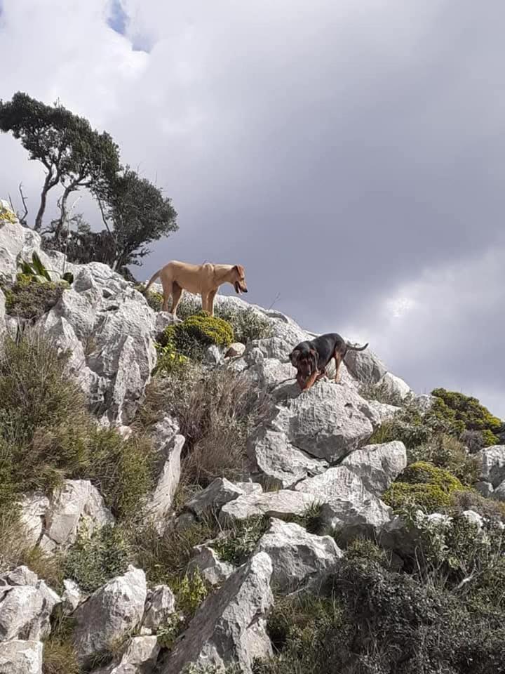 La Petite Planete Otel Mykines Dış mekan fotoğraf