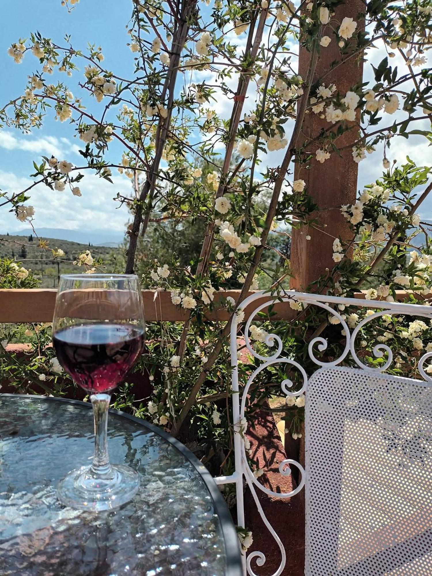 La Petite Planete Otel Mykines Dış mekan fotoğraf