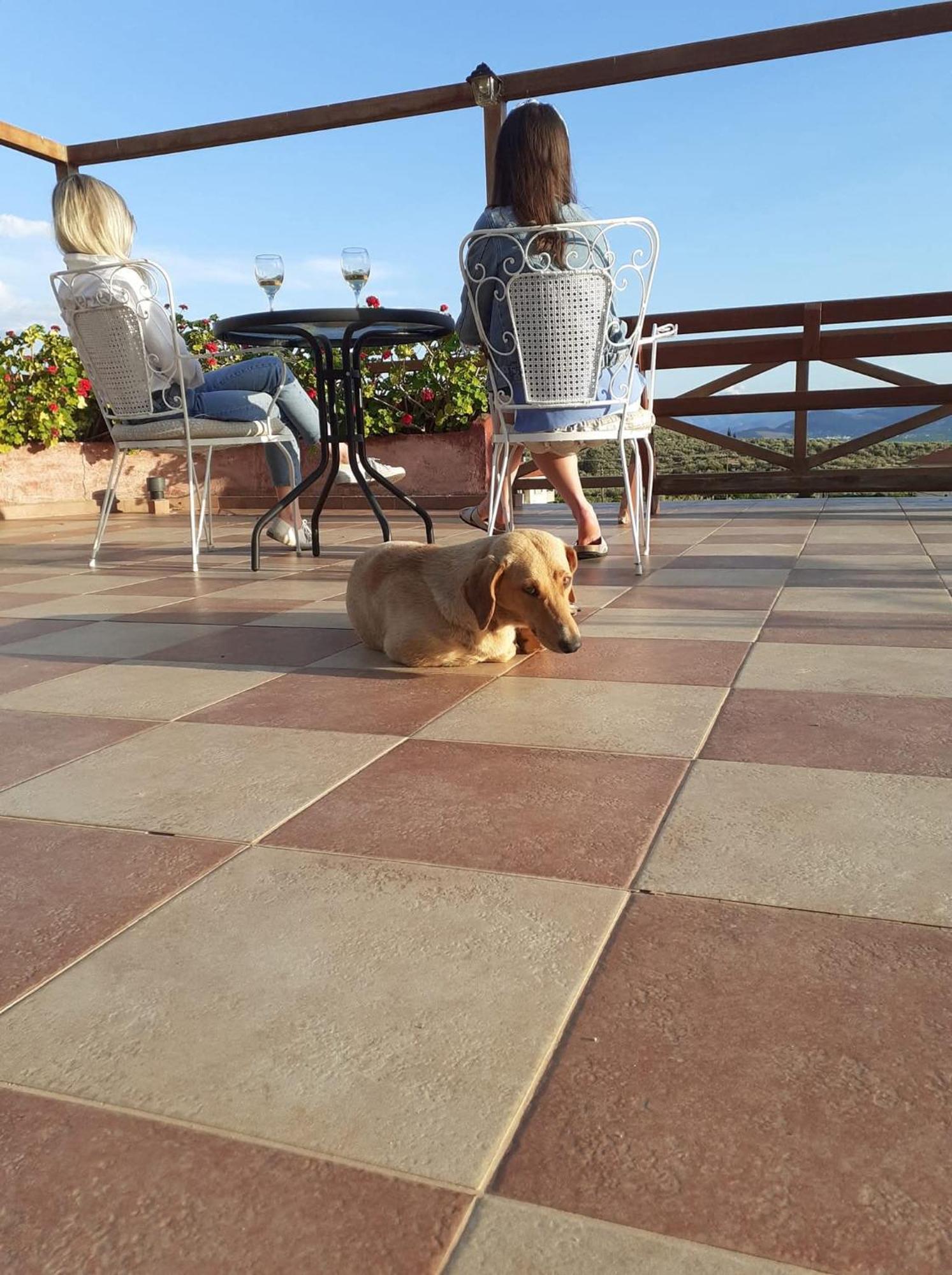 La Petite Planete Otel Mykines Dış mekan fotoğraf